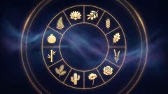 Your Ideal Houseplant Based on Your Zodiac Sign