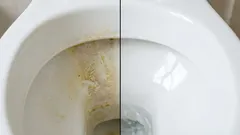 How to Remove Yellow Stains from a Toilet: Home Remedies, Household Cleaners, and Tips