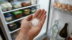 Put Salt in the Refrigerator and Get Rid of a Big Problem Forever